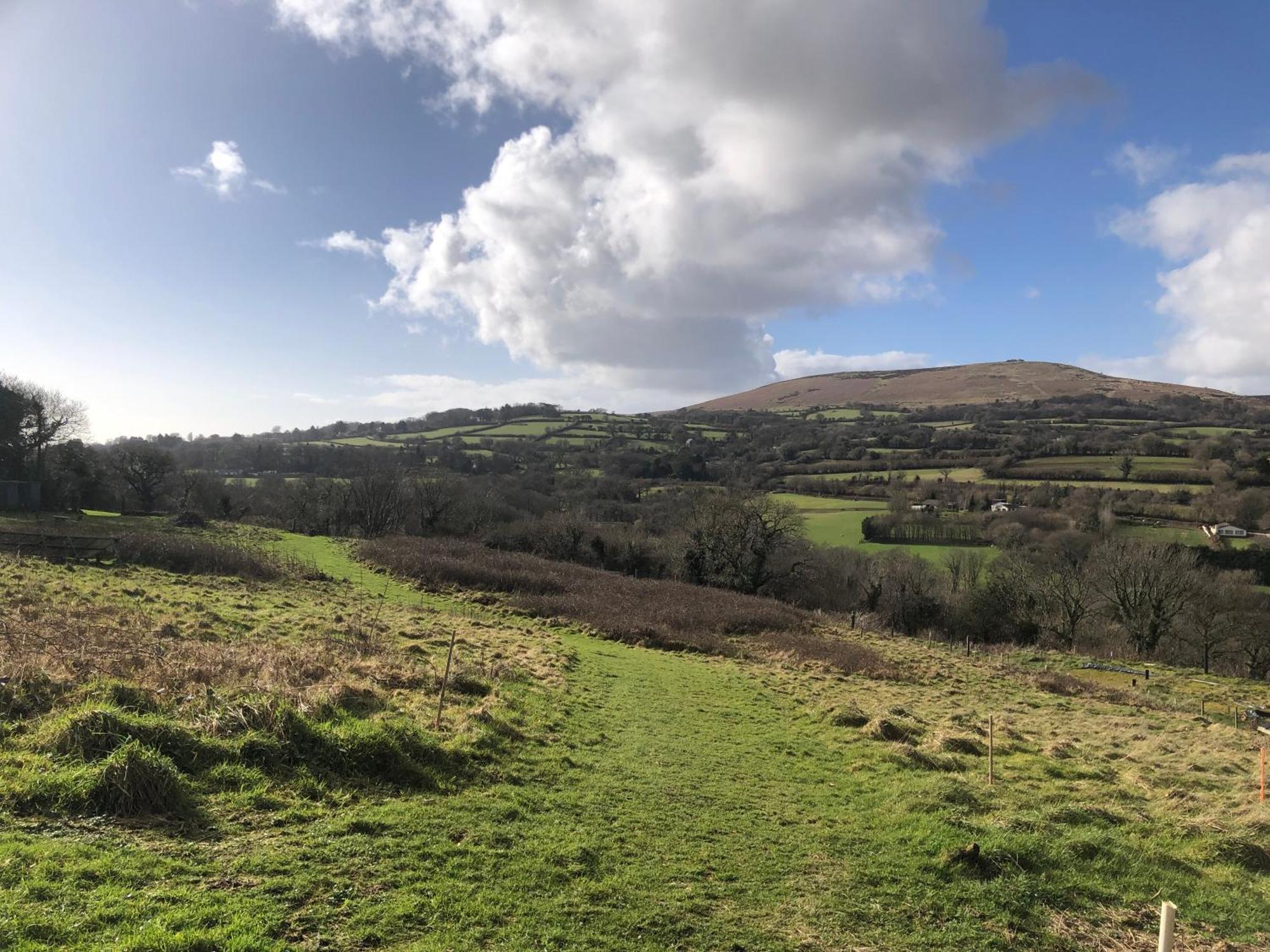 Stags View,Unique Eco Cabin, Dartmoor Views South Brent Exteriér fotografie
